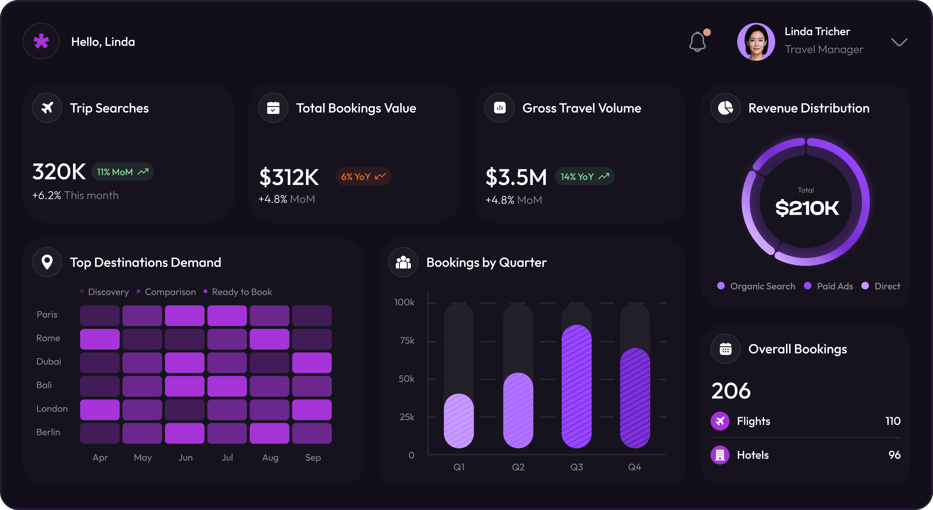 Travel website development